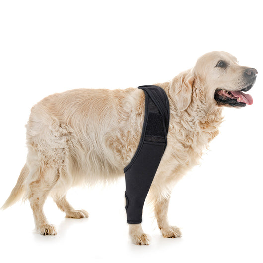 Black pet knee pad with mesh panels and hook-and-loop fasteners, designed for dog joint injury recovery and support. - Image 8