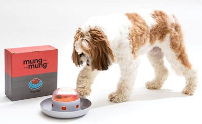 Comedero Automático Inteligente Anti-Derrames para Mascotas - Image 11