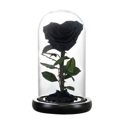Corazón de Flores Preservadas para San Valentín - Regalo Eterno - Image 10