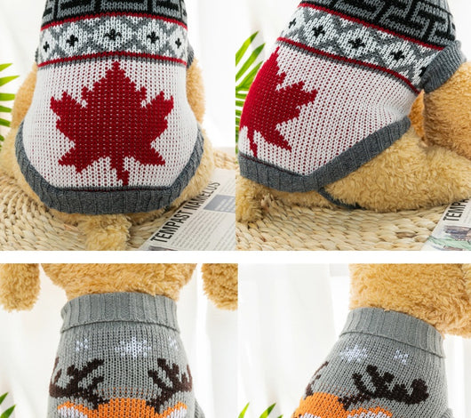 Suéteres Tejidos para Mascotas - Ropa de Otoño e Invierno para Bichón Frisé y Corgi - Image 16