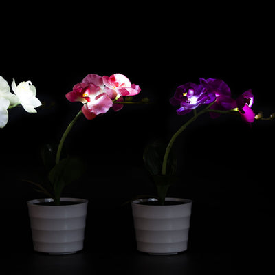 Lámpara Solar Orquídea con Mariposas Decorativas - Image 13