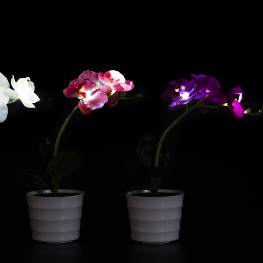 Lámpara Solar Orquídea con Mariposas Decorativas - Image 13