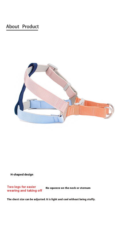 Correa Multicolor para Perro con Arnés de Pecho y Espalda - Image 9