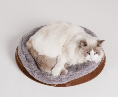 Carpa Térmica Cerrada para Gatos con Techo Nevado - Image 8