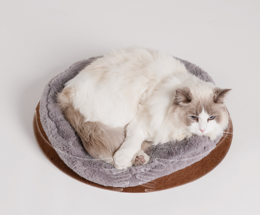 Carpa Térmica Cerrada para Gatos con Techo Nevado - Image 8
