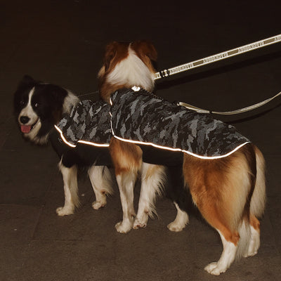 Traje Reflectante de Alto Rendimiento para Mascotas - Image 12