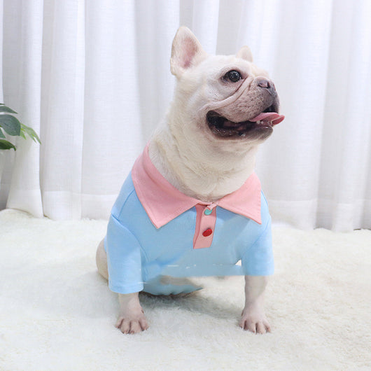 Ropa para Bulldog con Contraste de Colores - Image 4