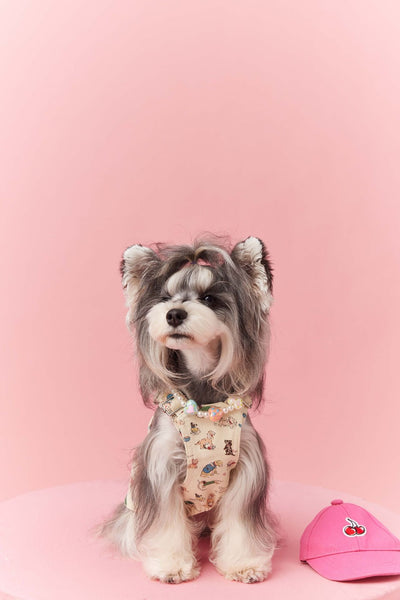 Falda Denim con Tirantes para Perros Pequeños Schnauzer y Maltés - Image 8
