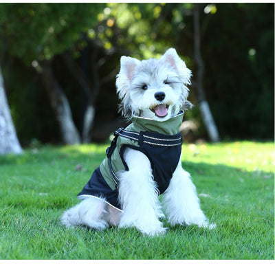 Ropa Impermeable para Mascotas en Algodón Resistente - Image 15