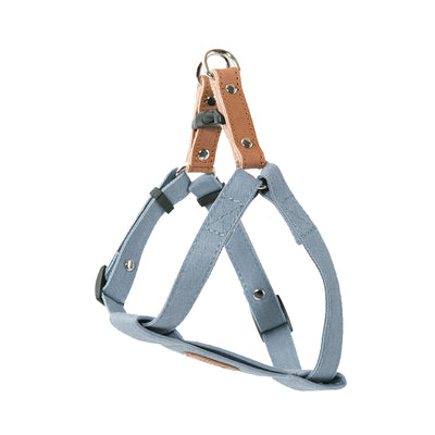 Correa de Algodón Suave para Perros - Diseño Trendy para Todas las Estaciones - Image 11