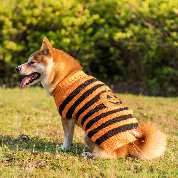 Suéter de Halloween para Perros - Disfraz Cálido y Cómodo