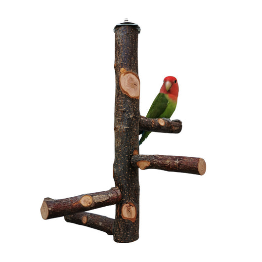 DIY bird stand kit with natural apple wood perches, including a long main perch, four smaller perches, and metal hardware. - Image 4