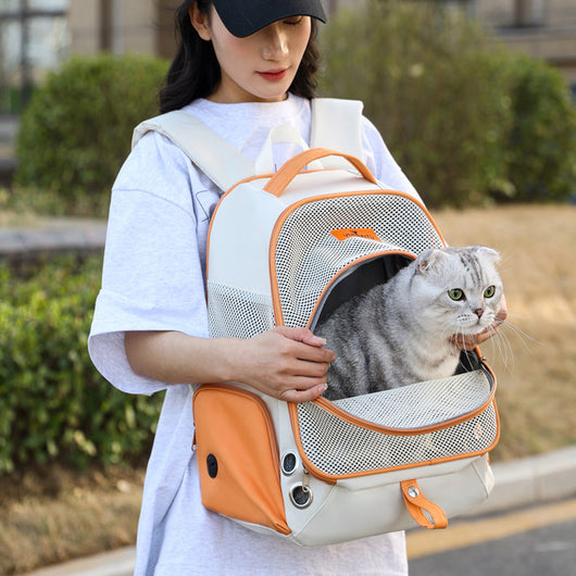 Mochila Transportadora Doble para Gatos - Portátil y Plegable - Image 2