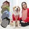 Camiseta Rayada para Perros Grandes - Ropa Cómoda y Protectora