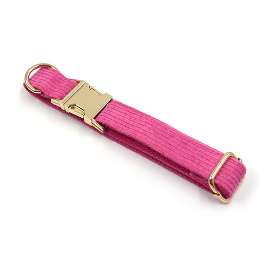 Collar para Perro de Pana Suave y Simple - Image 3