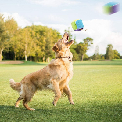 Tapete de Olfato Interactivo Cubo Rubik para Perros - Image 12