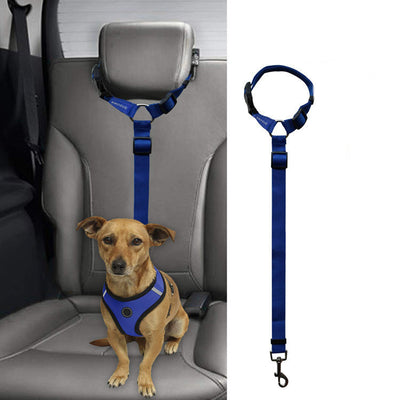 Correa de Seguridad para Mascotas en Auto - Image 14