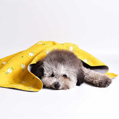 Manta Cama Doble Faz de Algodón para Mascotas - Image 10