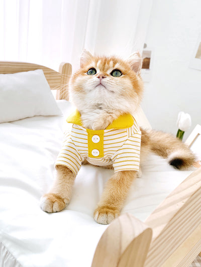 Polo a Rayas para Gatos - Ropa Adorable y Cómoda - Image 8