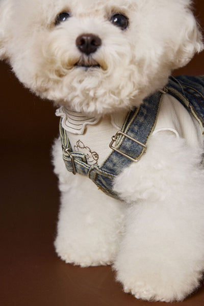 Falda Denim Tipo Peto sin Mangas para Perros Pequeños y Medianos - Image 8