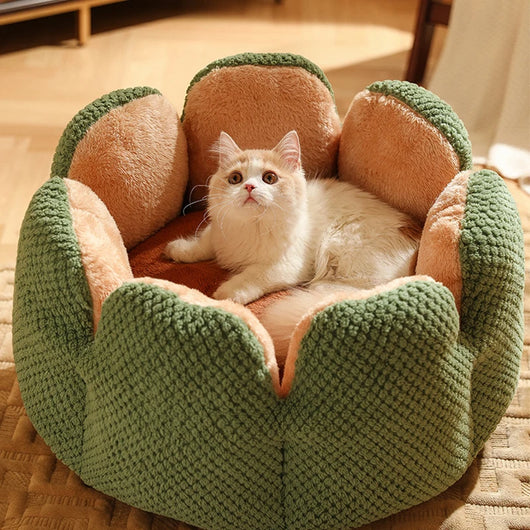 Cama Nido Térmico Flor de Cactus para Perros y Gatos - Confort Máximo - Image 20