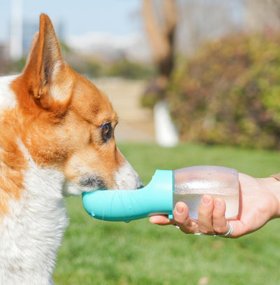Vaso Portátil para Mascotas - Bebedero Plegable para Salidas - Image 14