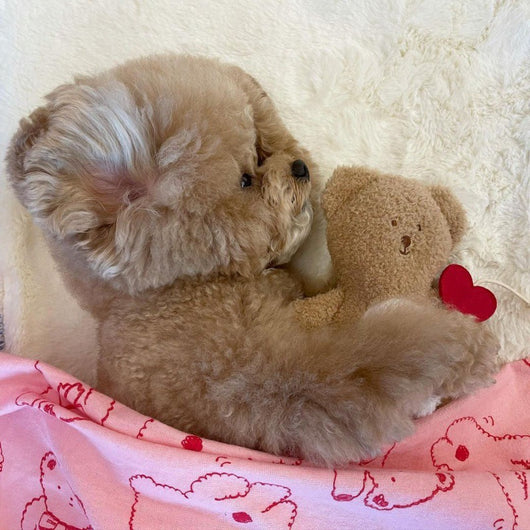 Osito Tibetano Reconfortante para Dormir - Juguete Suave para Perros - Image 3