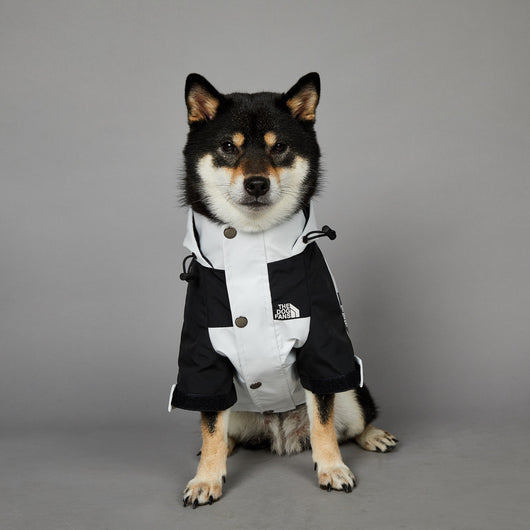 Impermeable para Perros Grandes Resistente al Viento y la Lluvia - Image 6