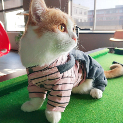 Ropa Abrigada para Gatos y Gatitos - Protección Térmica Invierno - Image 8