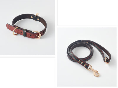 Correa y Collar para Perro - Sistema de Control Seguro - Image 12