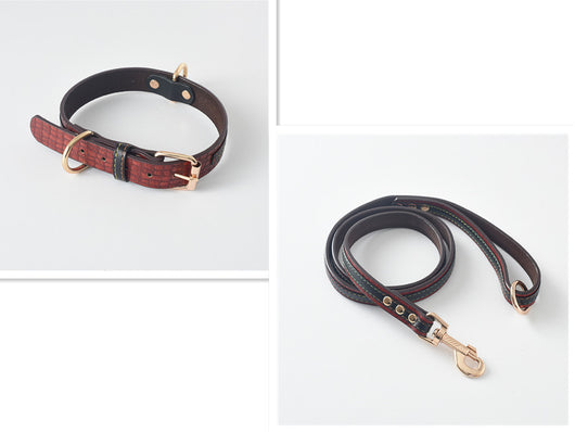 Correa y Collar para Perro - Sistema de Control Seguro - Image 12