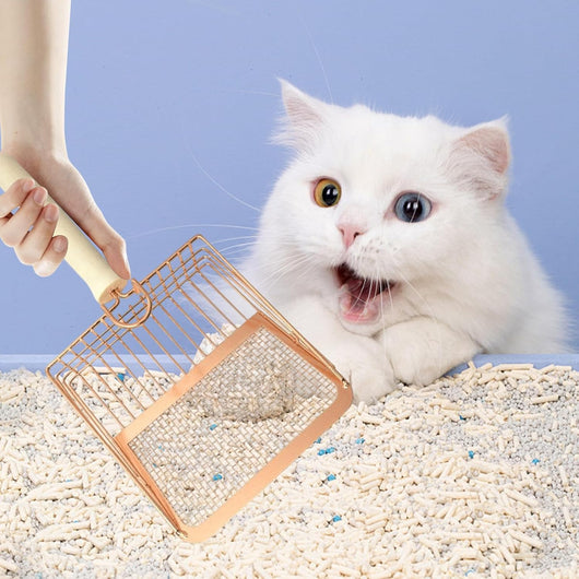 Pala Recogedora de Arena para Gatos con Mango de Madera - Image 3