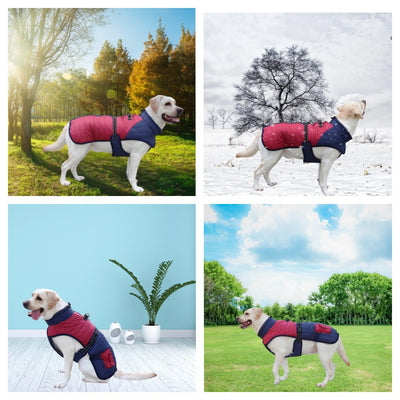 Abrigo Térmico para Perros - Invierno y Otoño - Image 4