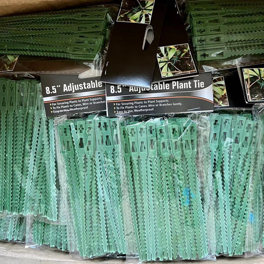 Cinta de Sujeción para Plantas Espiga de Pescado Verde - Image 24