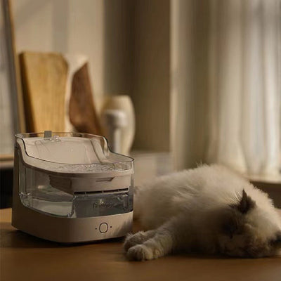 Bebedero Automático para Mascotas con Filtración Continua de Agua Fresca