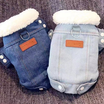 Abrigo Acolchado de Borrego para Chihuahua - Ropa Térmica para Perros Pequeños - Image 9