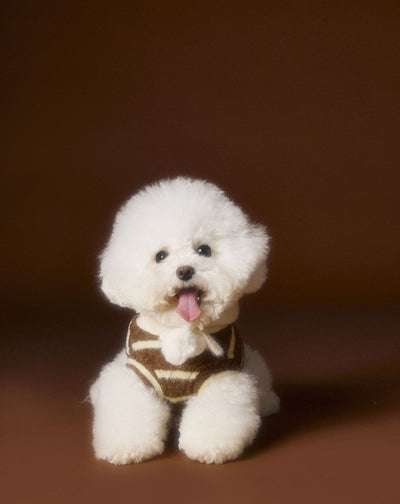 Suéter Acogedor de Galleta Felt para Mascotas - Otoño e Invierno - Image 17