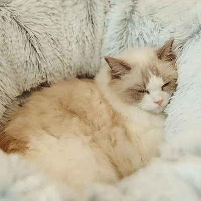 Cama Térmica para Gatos - Cojín Navideño Cálido y Acogedor - Image 3