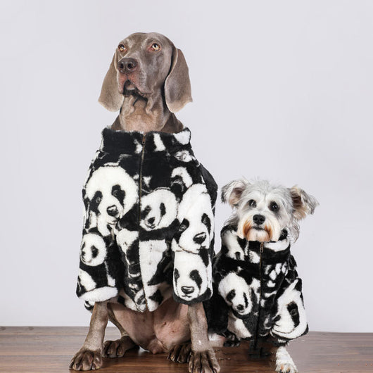 Abrigo Acolchado Térmico para Perros y Gatos - Image 4