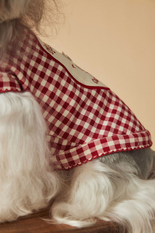 Chaleco Escocés sin Mangas para Perro Maltés y Schnauzer Teddy en Rojo - Image 22