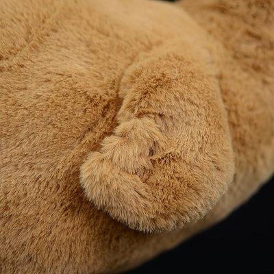 Peluche Educativo Dodo - Colección Biología Prehistórica - Image 13