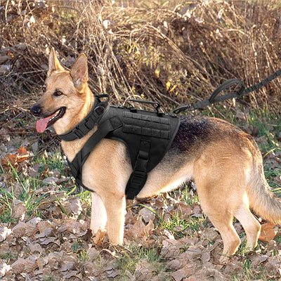 Arnés Táctico K9 para Perros - Chaleco de Carga y Control - Image 11