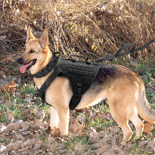 Arnés Táctico K9 para Perros - Chaleco de Carga y Control - Image 11