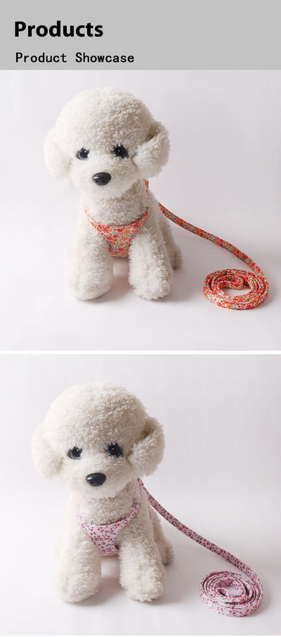 Arnés Floral para Mascotas con Correa de Paseo - Image 21