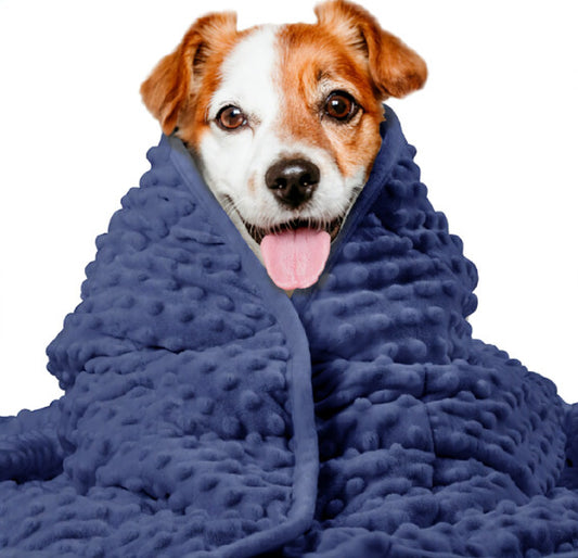 Manta Calmante para Perros con Tecnología Anti-Ansiedad