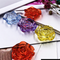 Mixing3 20 Mm Icethrough Roses 5 Piezas
