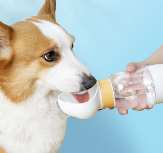 Yellow and clear portable pet water bottle with integrated drinking bowl and separate food container for walking dogs. - Image 22
