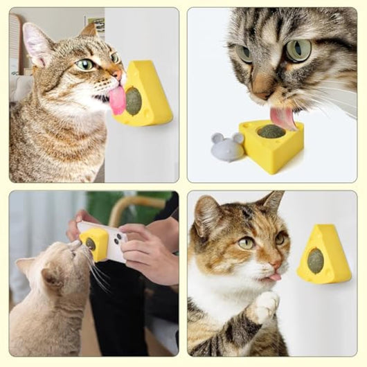 Pelotas de Catnip Adhesivas con Forma de Queso para Gatos - Image 13