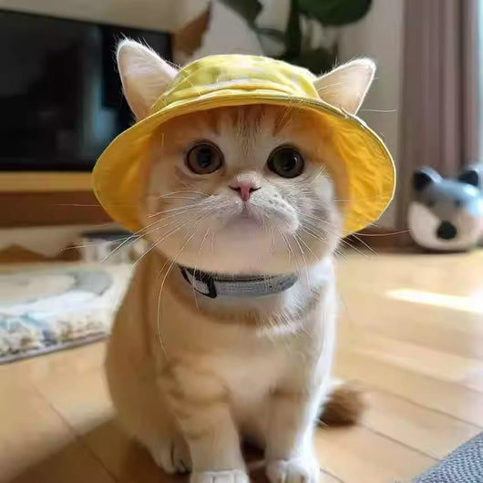 Gorro Cubo para Mascotas con Orejas Expuestas - Diseño Adorable
