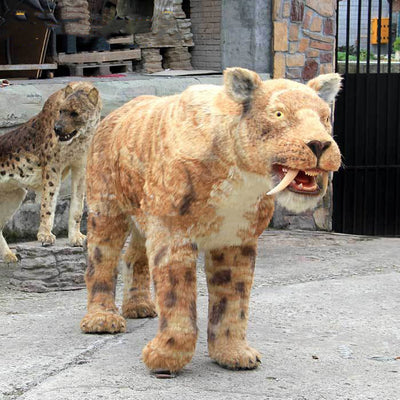 Réplica de Tigre Dientes de Sable en Fibra de Vidrio con Pelaje Realista - Image 3